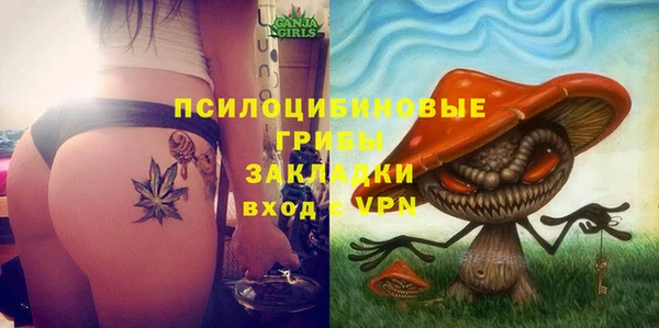 не бодяженный Белокуриха